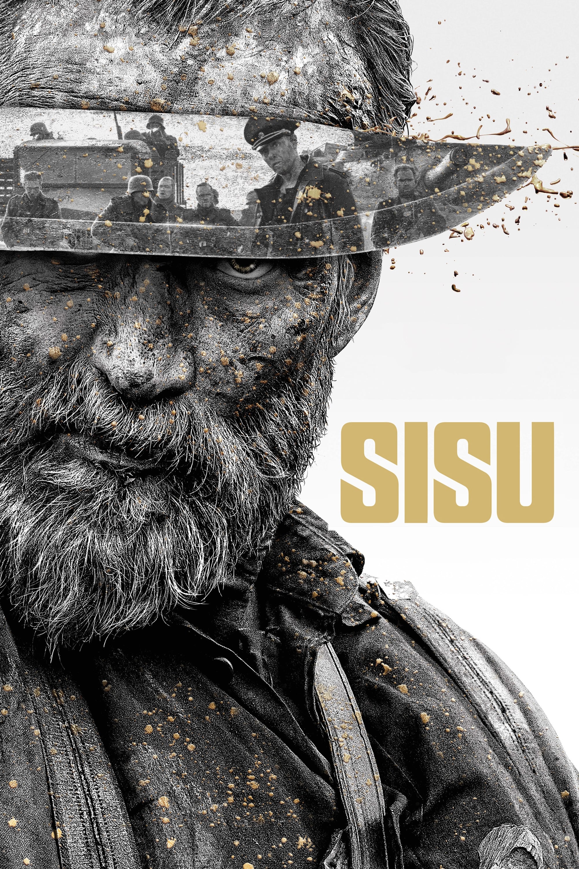 Sisu